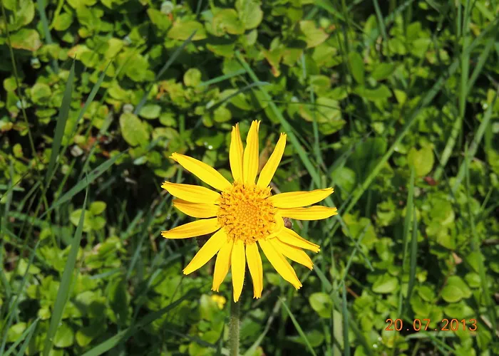 Appartamento Haus Arnika