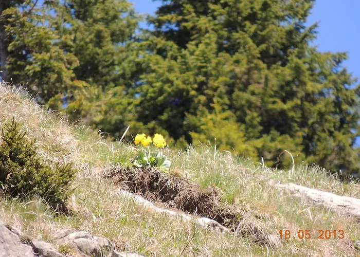 Appartamento Haus Arnika *